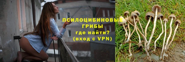 крисы Кукмор