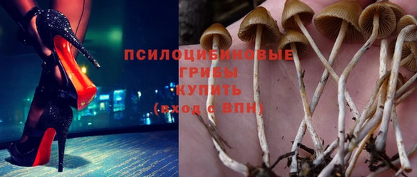 прущая мука Кулебаки