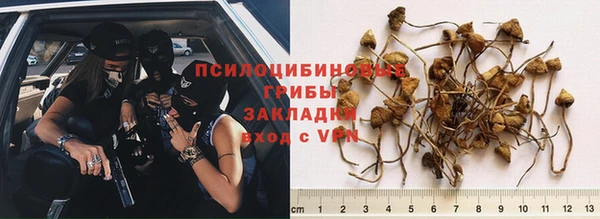 меф Армянск