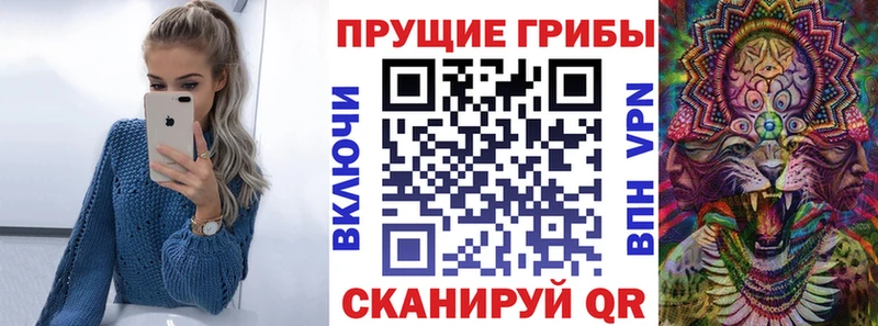 как найти закладки  Юрюзань  Галлюциногенные грибы Cubensis 